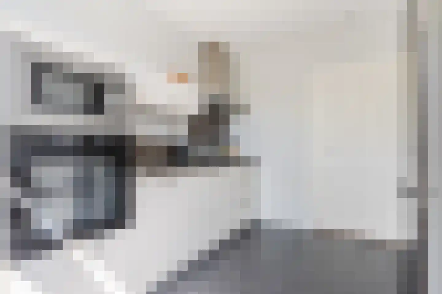 Borretstraat 7 Gemert thumbnail 18