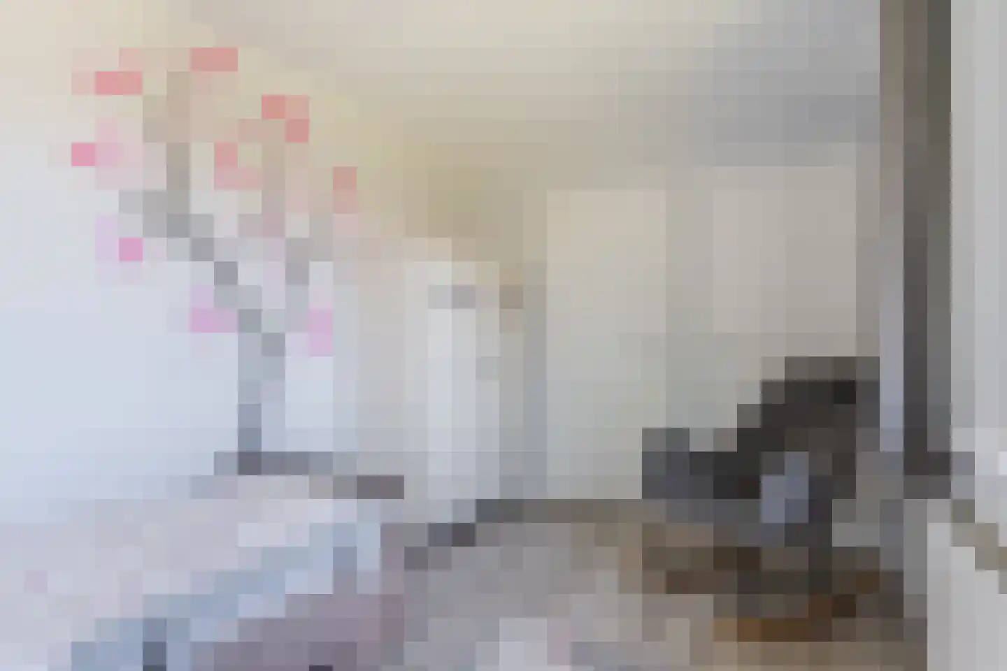 Borretstraat 7 Gemert thumbnail 22