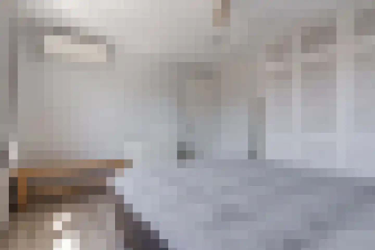 Borretstraat 7 Gemert thumbnail 26