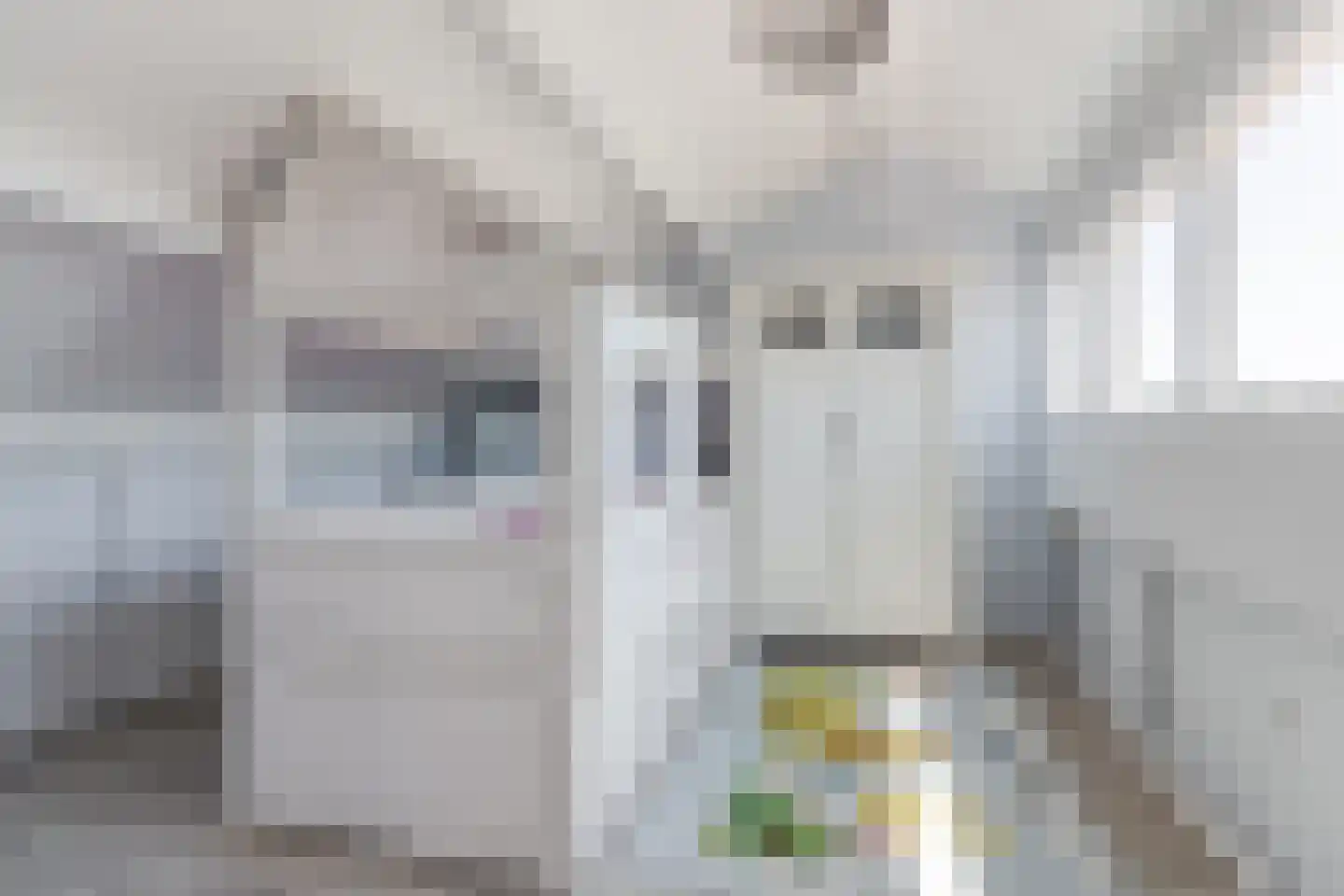 Borretstraat 7 Gemert thumbnail 33