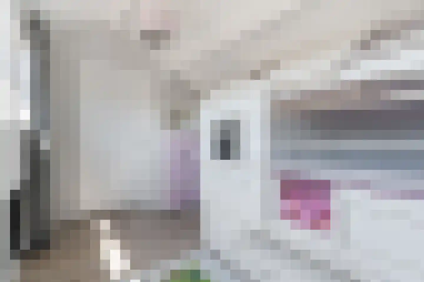 Borretstraat 7 Gemert thumbnail 35
