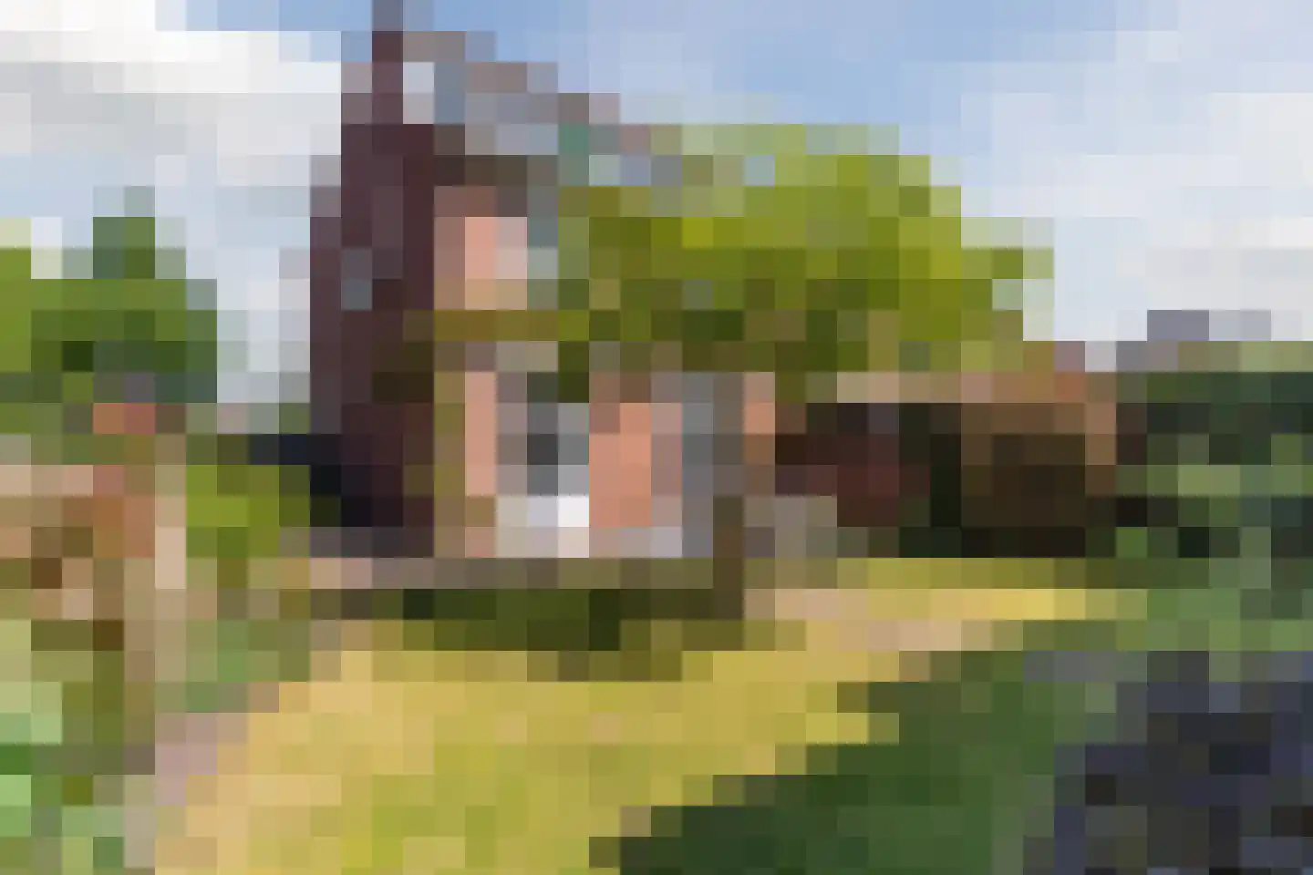 Borretstraat 7 Gemert thumbnail 37