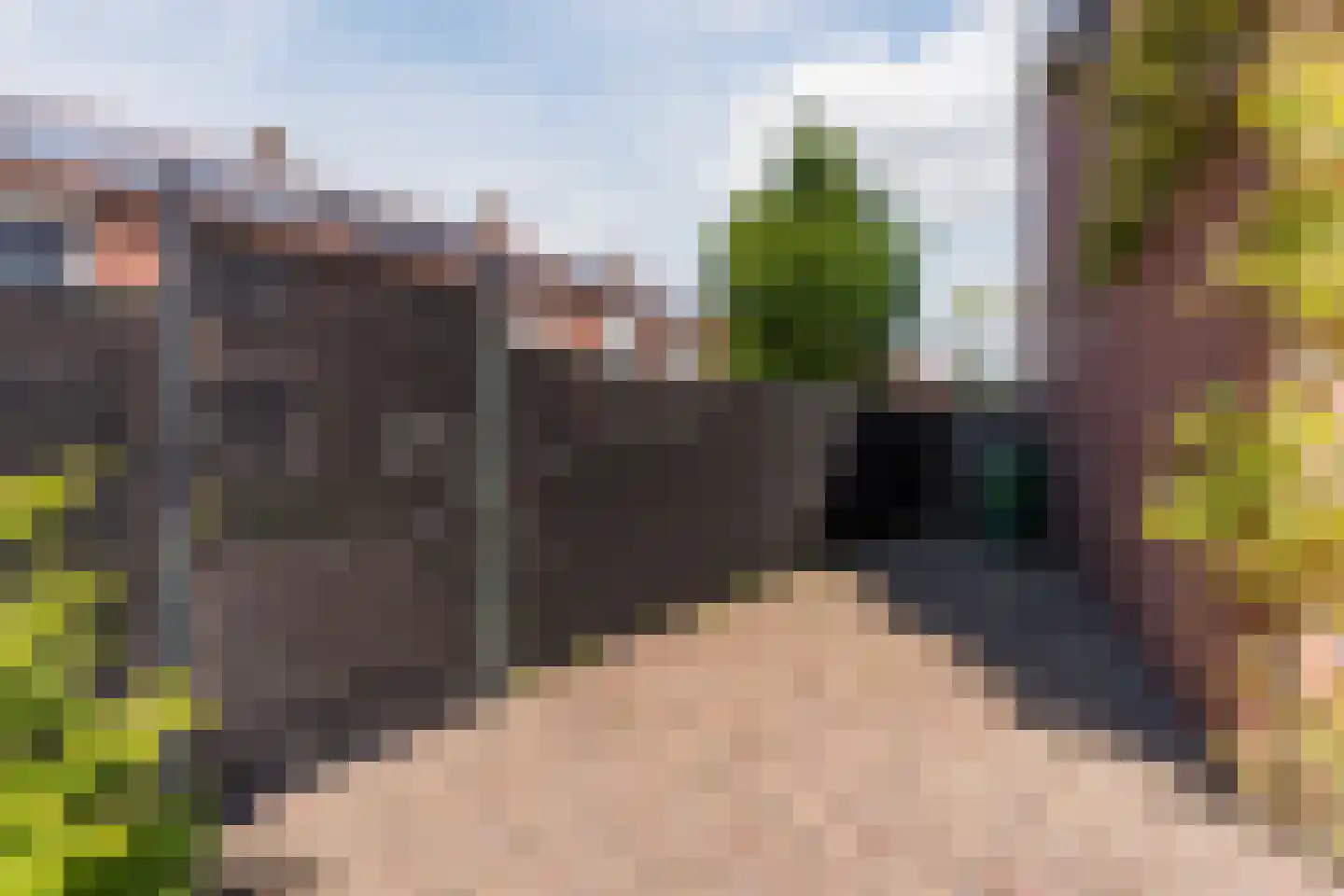 Borretstraat 7 Gemert thumbnail 38