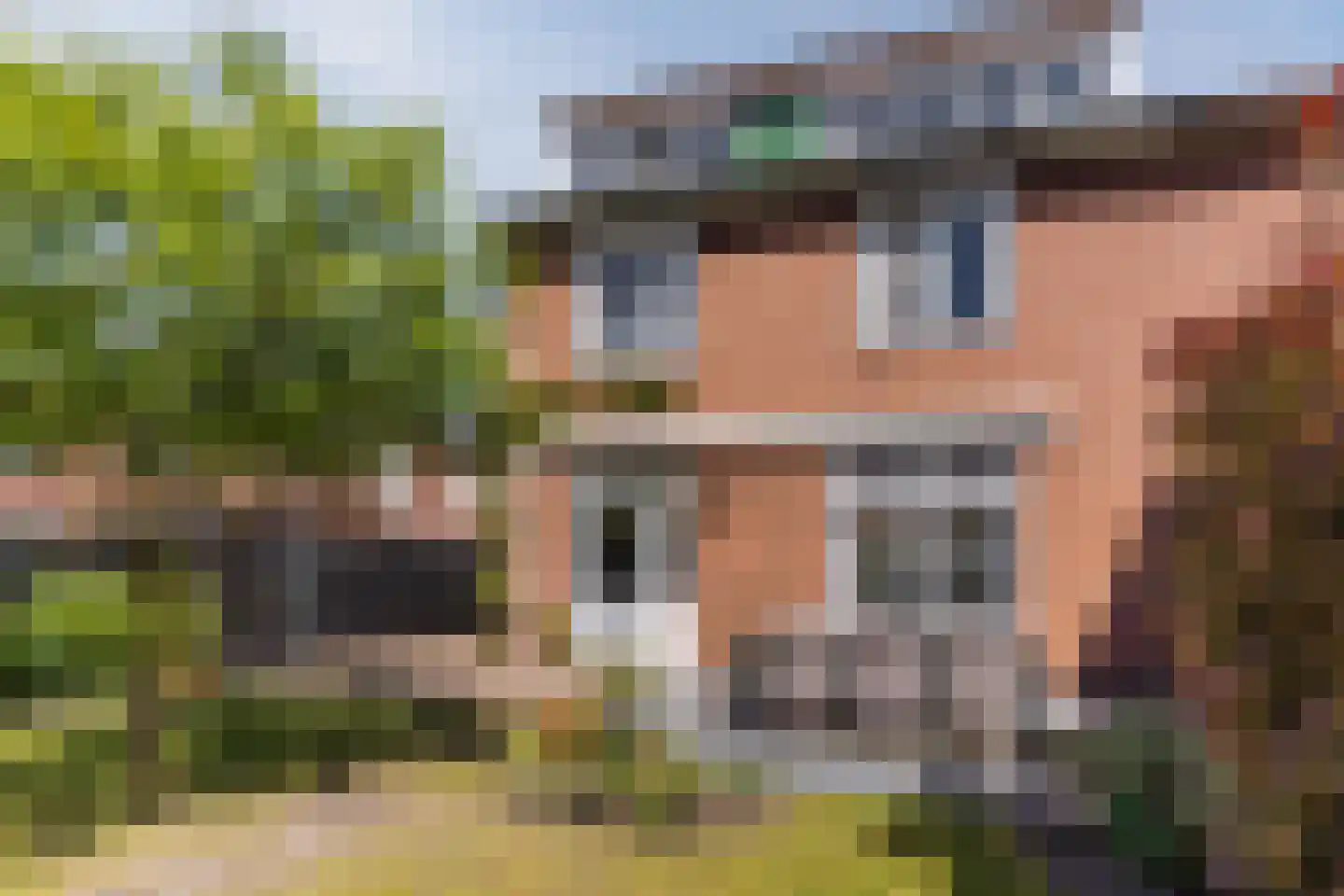 Borretstraat 7 Gemert thumbnail 39