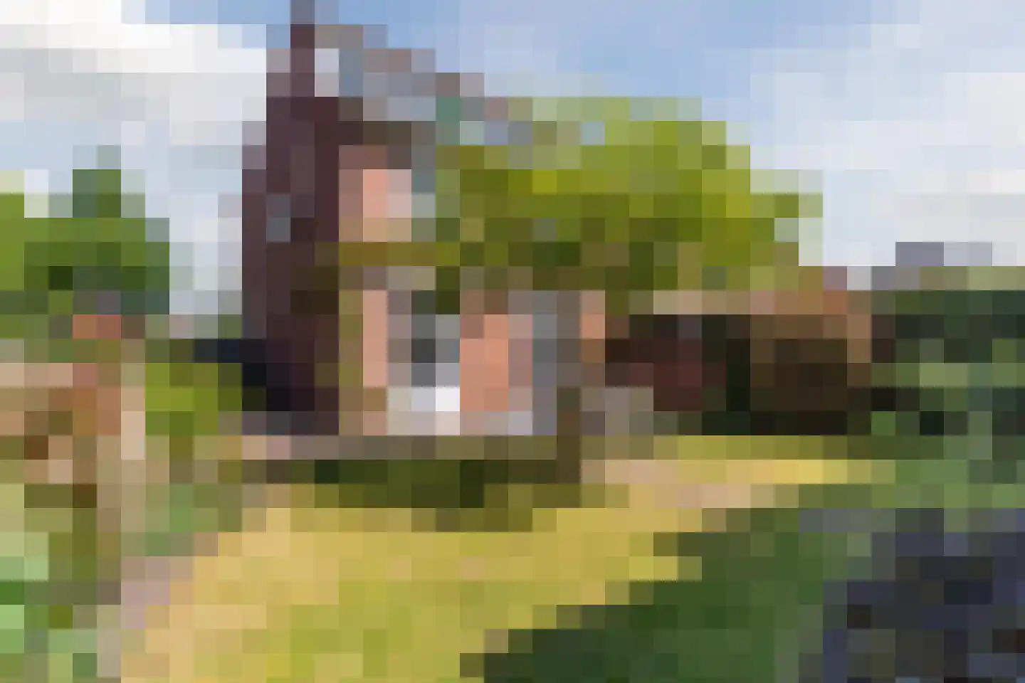 Borretstraat 7 Gemert thumbnail 4