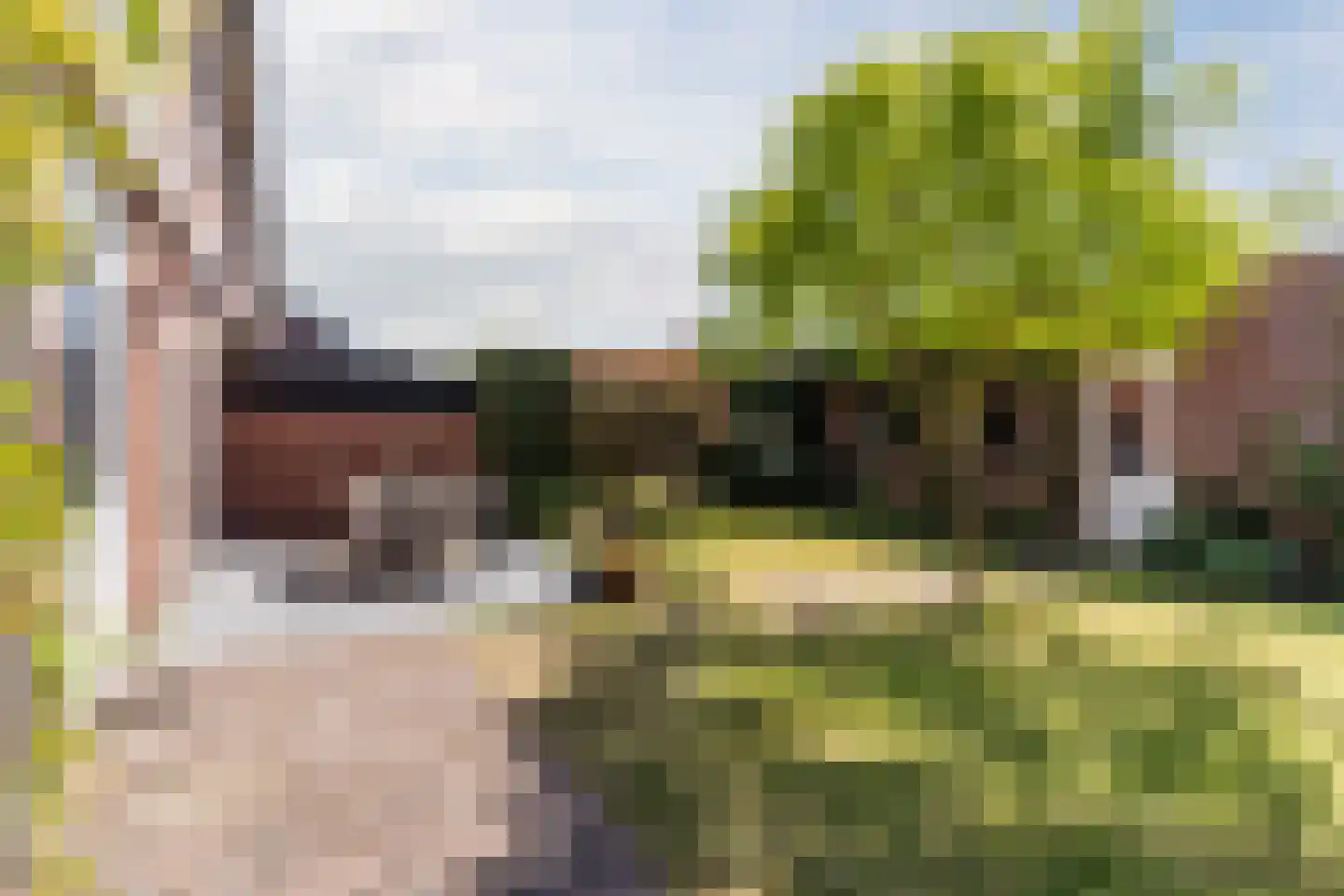 Borretstraat 7 Gemert thumbnail 40