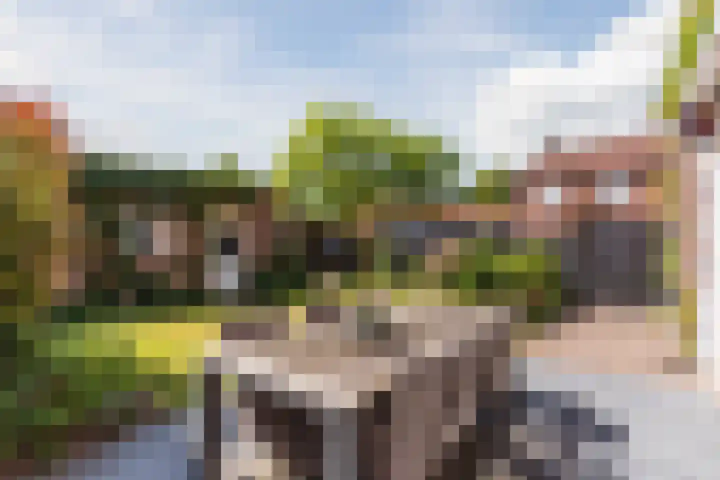 Borretstraat 7 Gemert thumbnail 41