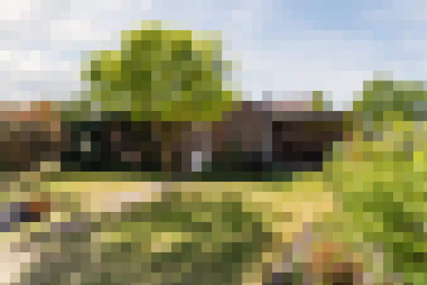 Borretstraat 7 Gemert thumbnail 42