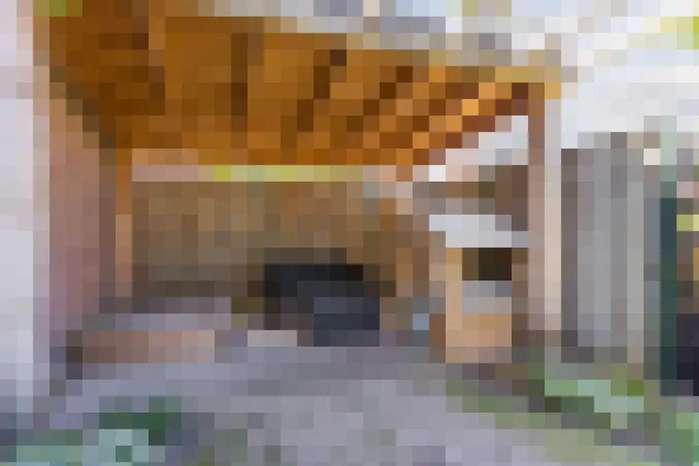 Borretstraat 7 Gemert thumbnail 43
