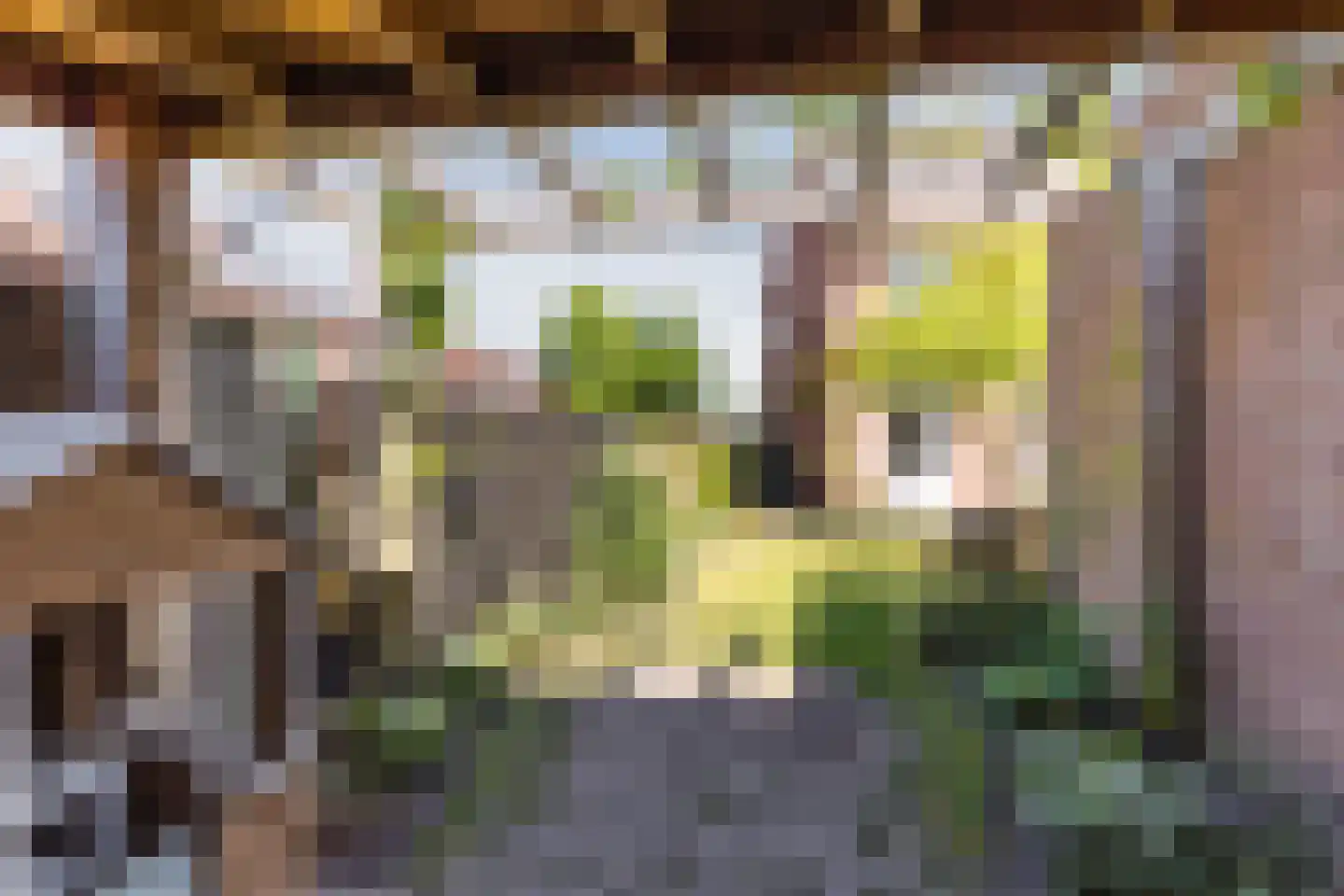 Borretstraat 7 Gemert thumbnail 44
