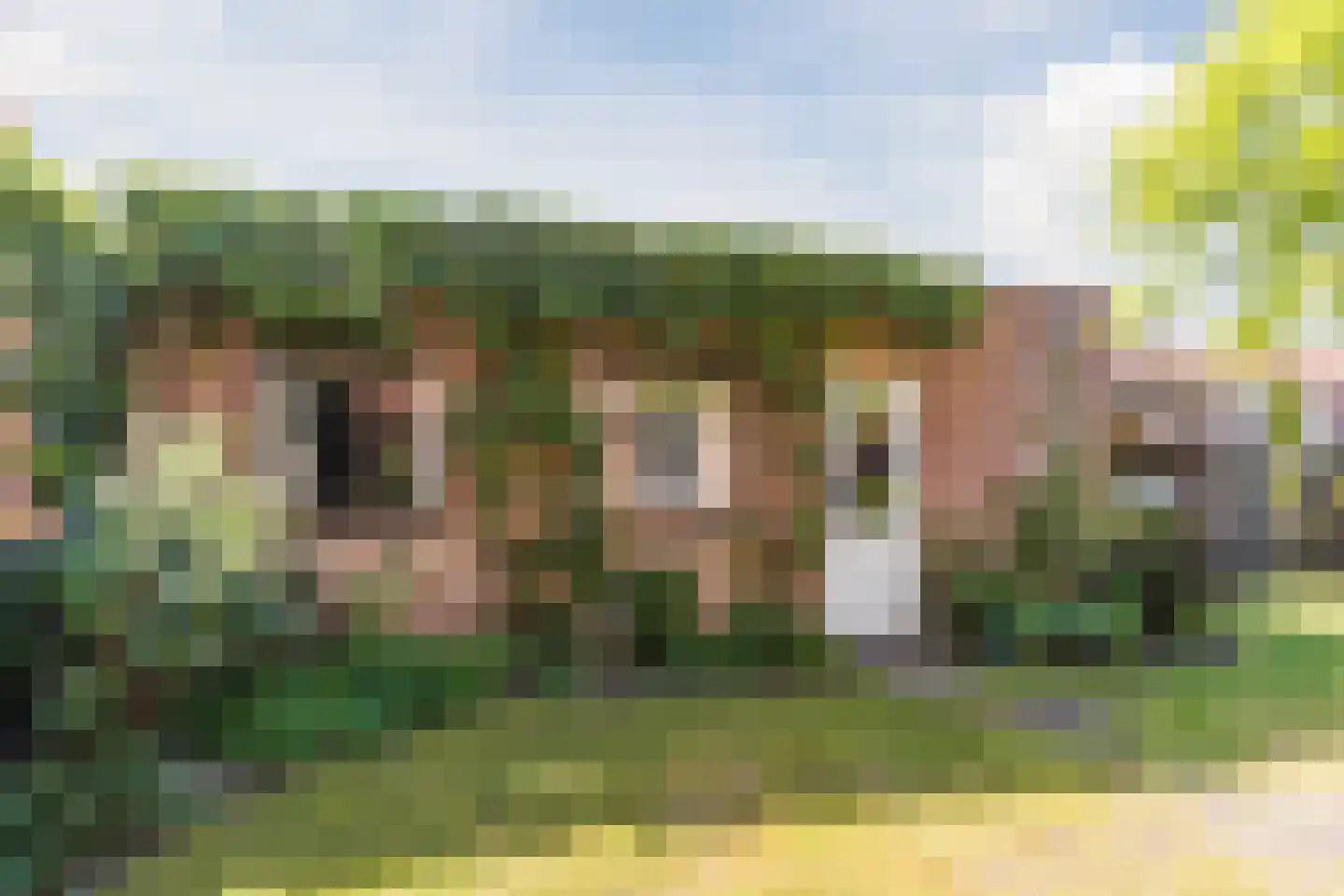 Borretstraat 7 Gemert thumbnail 45