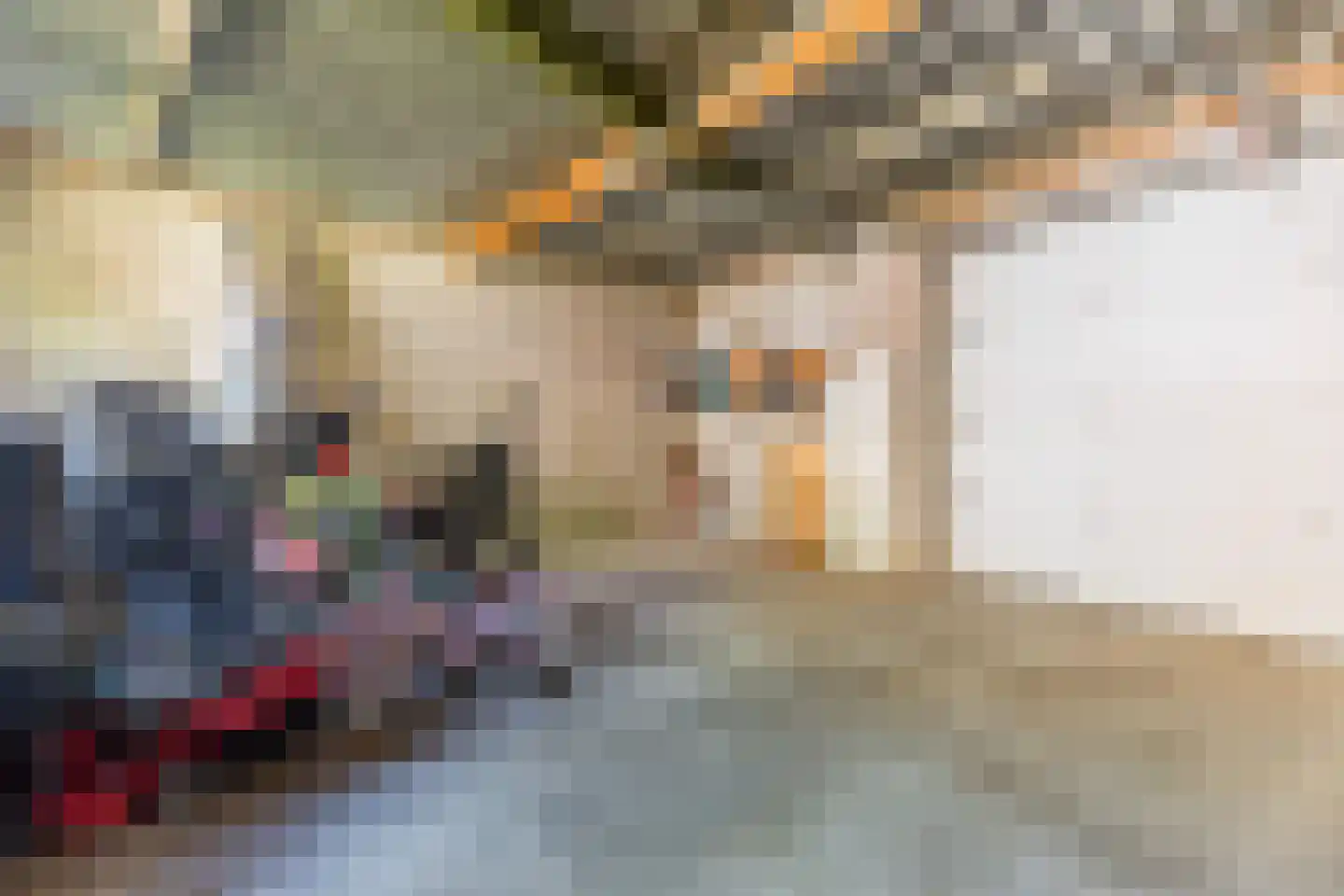 Borretstraat 7 Gemert thumbnail 48