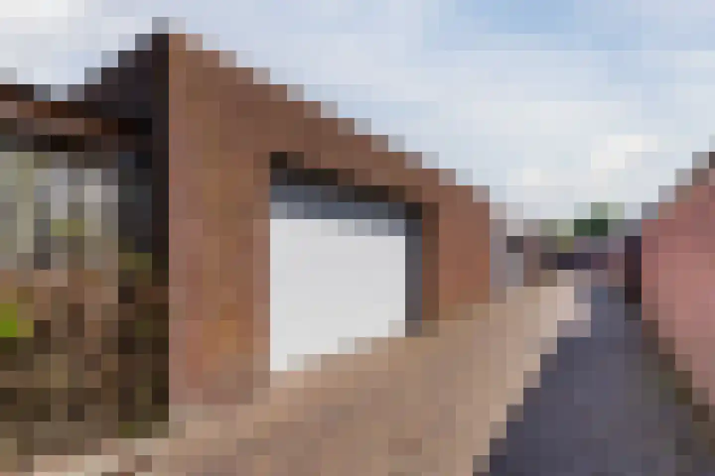 Borretstraat 7 Gemert thumbnail 49