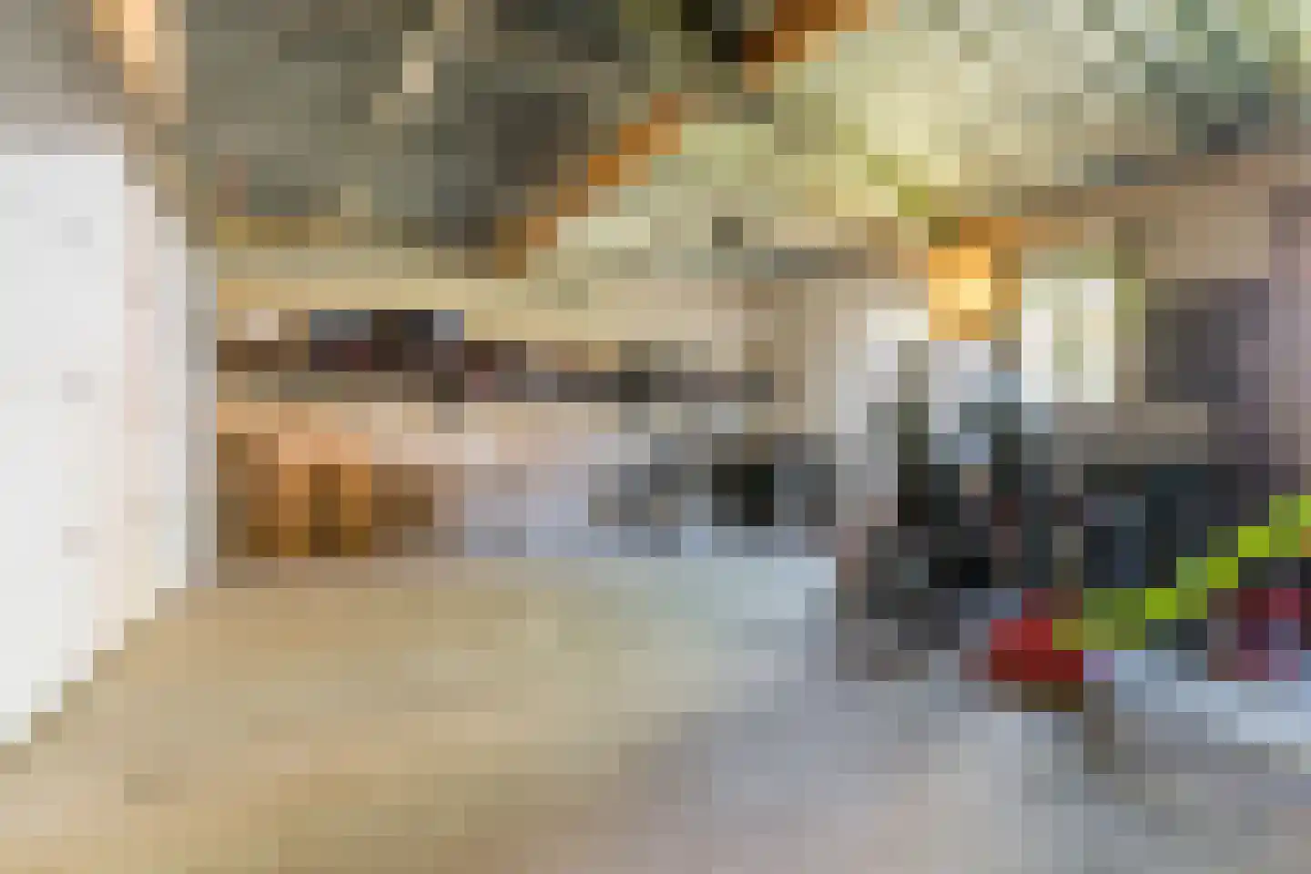Borretstraat 7 Gemert thumbnail 5
