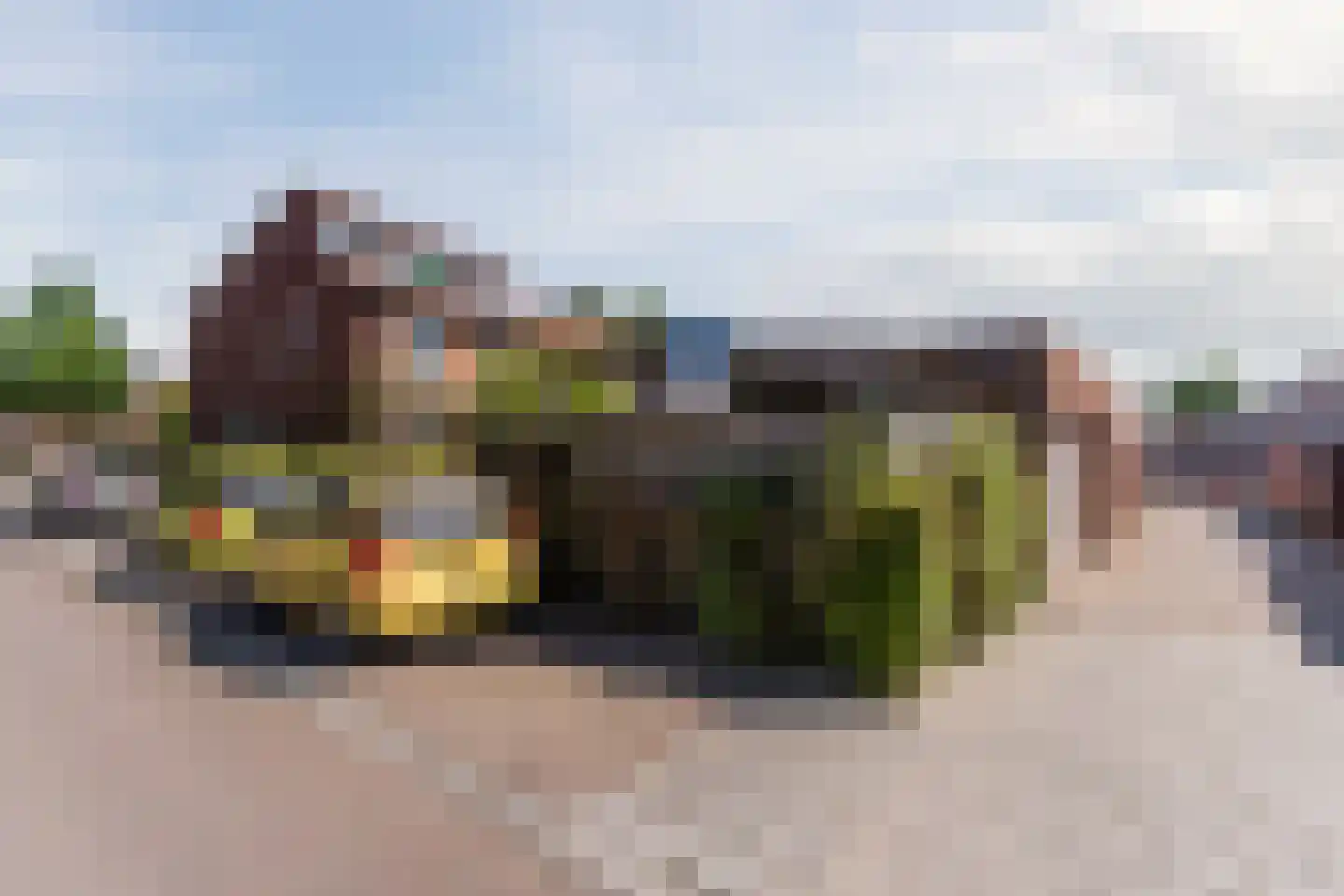 Borretstraat 7 Gemert thumbnail 50