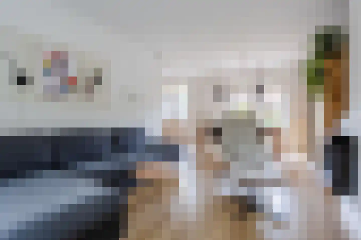Borretstraat 9 Gemert thumbnail 11