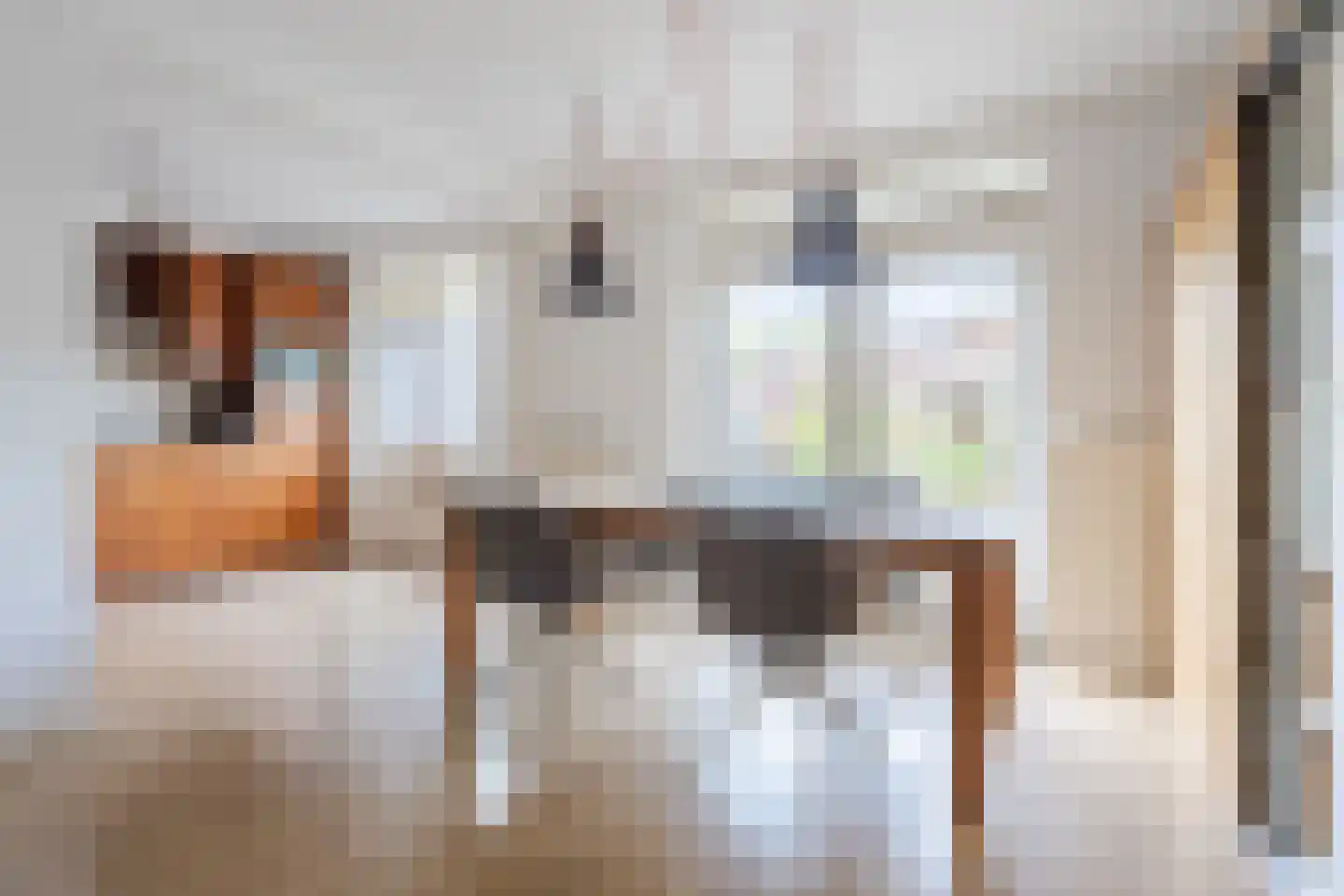 Borretstraat 9 Gemert thumbnail 13