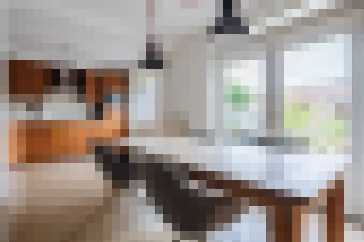 Borretstraat 9 Gemert thumbnail 14