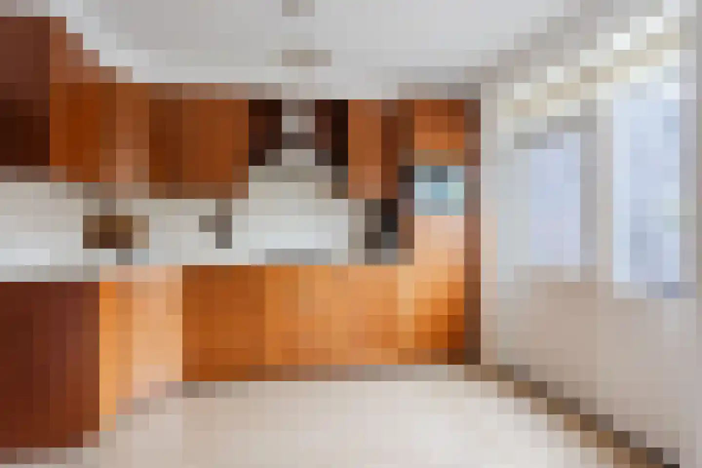 Borretstraat 9 Gemert thumbnail 15