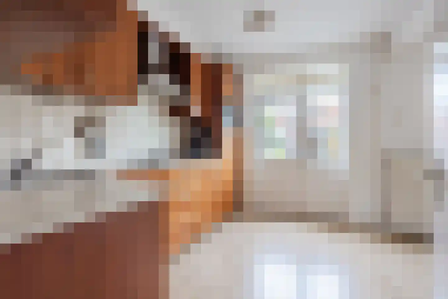 Borretstraat 9 Gemert thumbnail 16