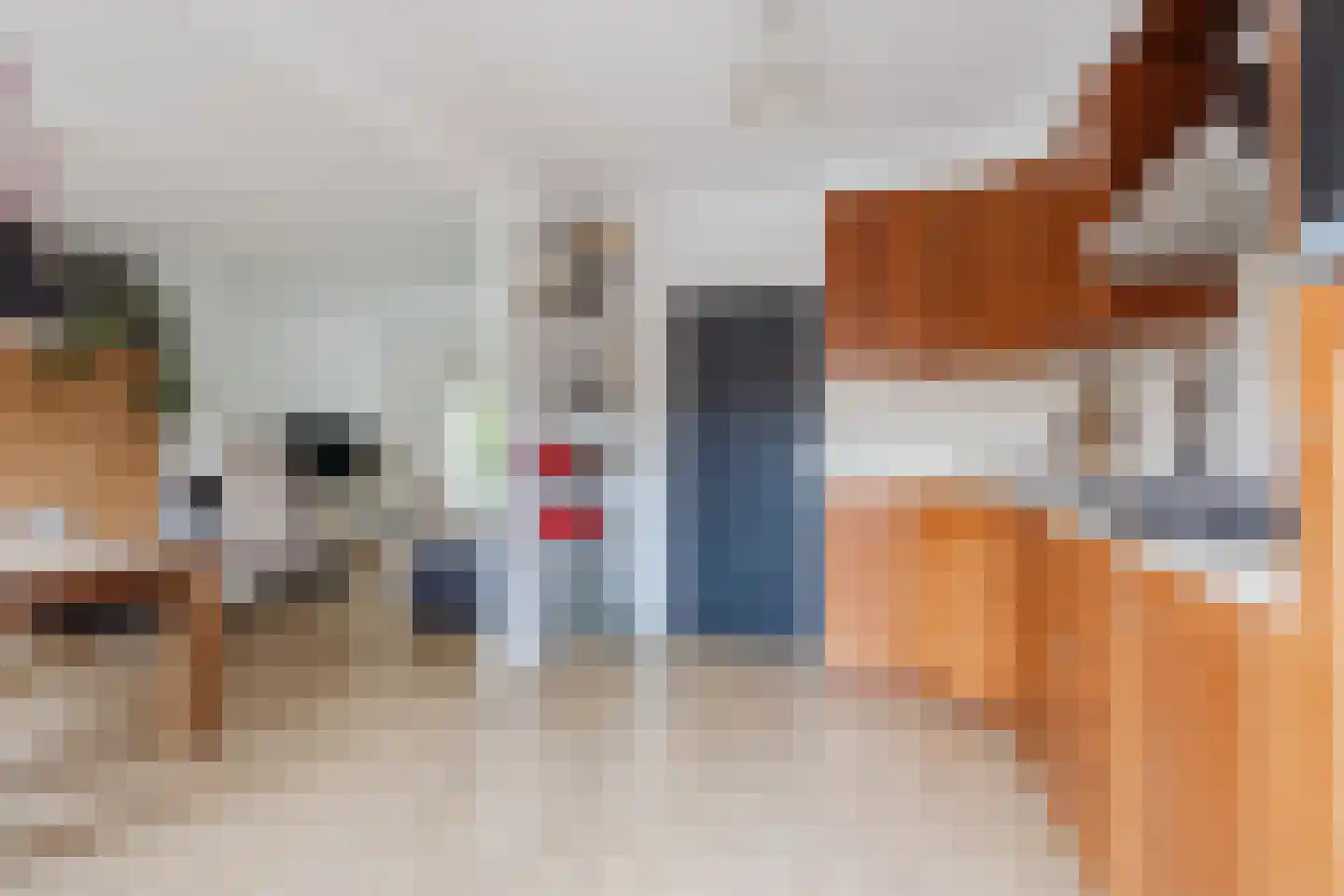 Borretstraat 9 Gemert thumbnail 18