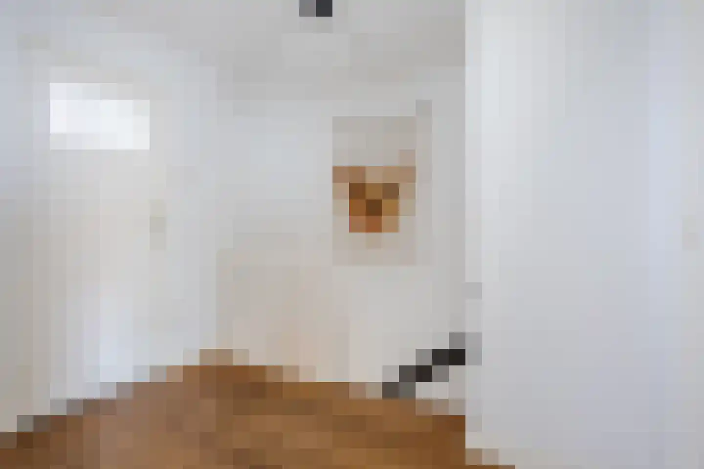 Borretstraat 9 Gemert thumbnail 20