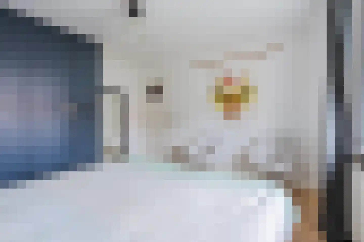 Borretstraat 9 Gemert thumbnail 24