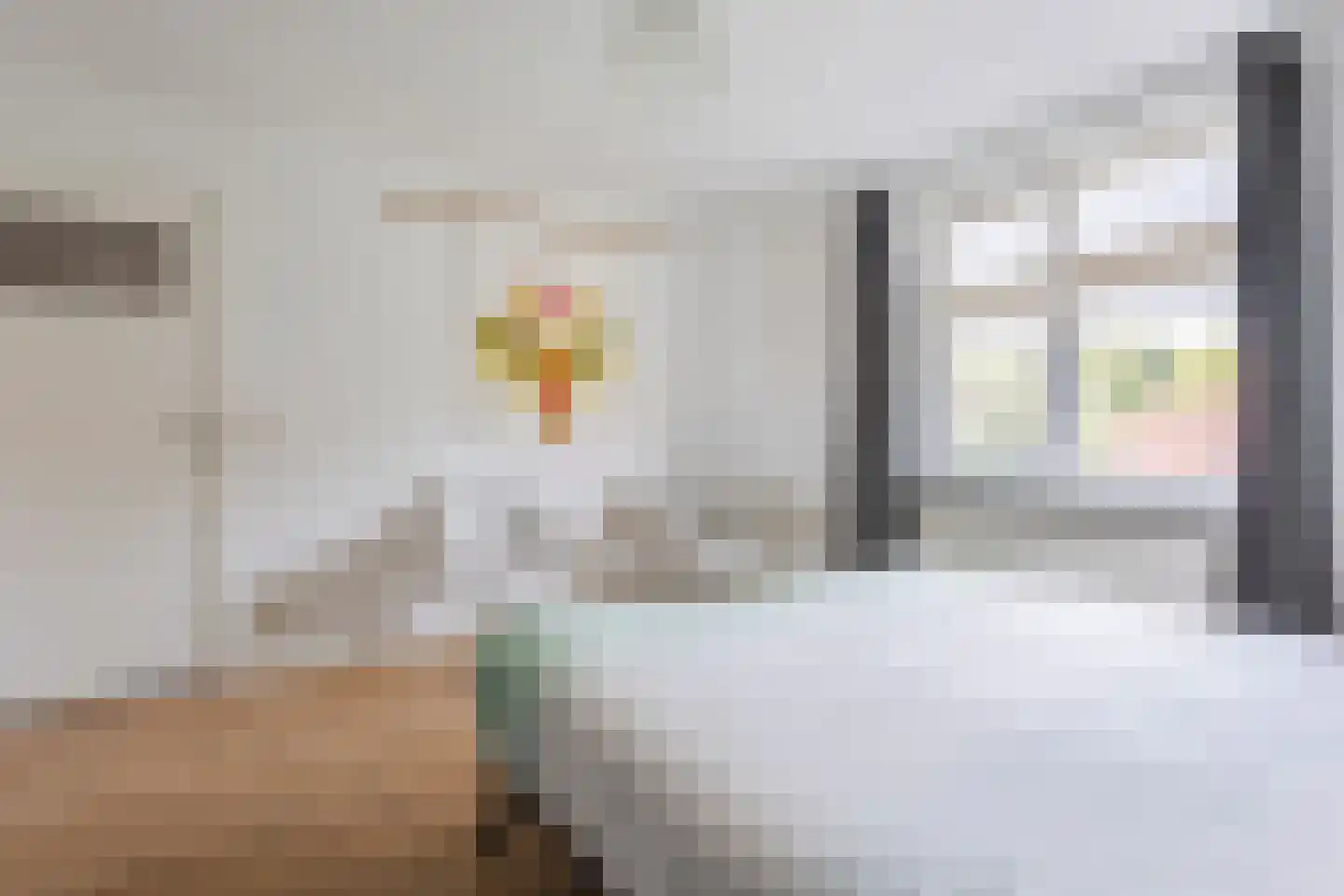 Borretstraat 9 Gemert thumbnail 25