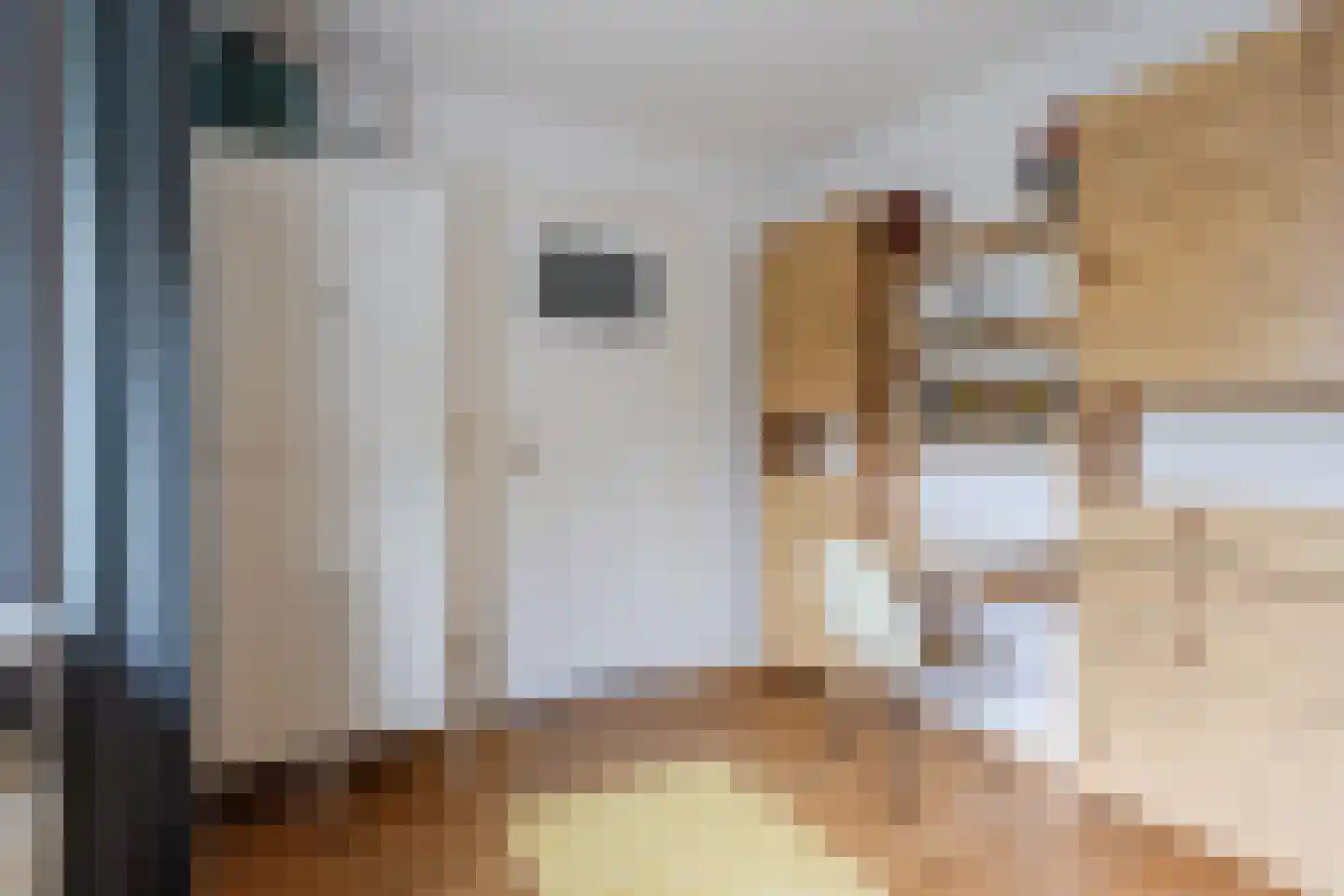 Borretstraat 9 Gemert thumbnail 27
