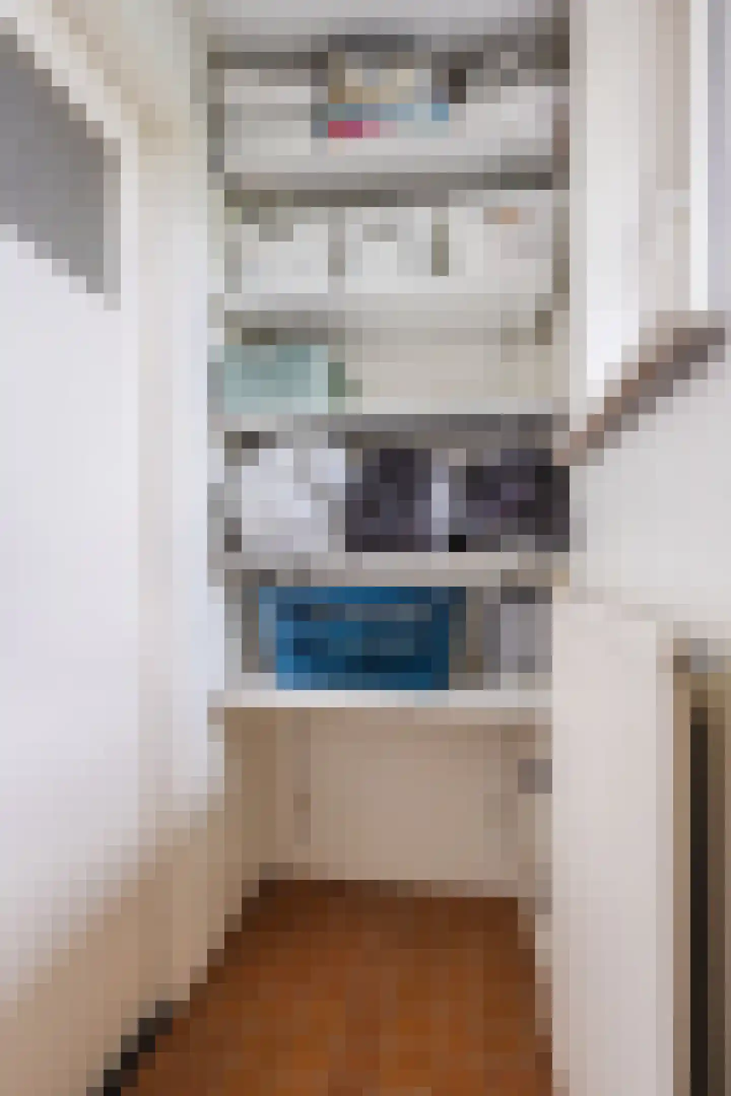 Borretstraat 9 Gemert thumbnail 33