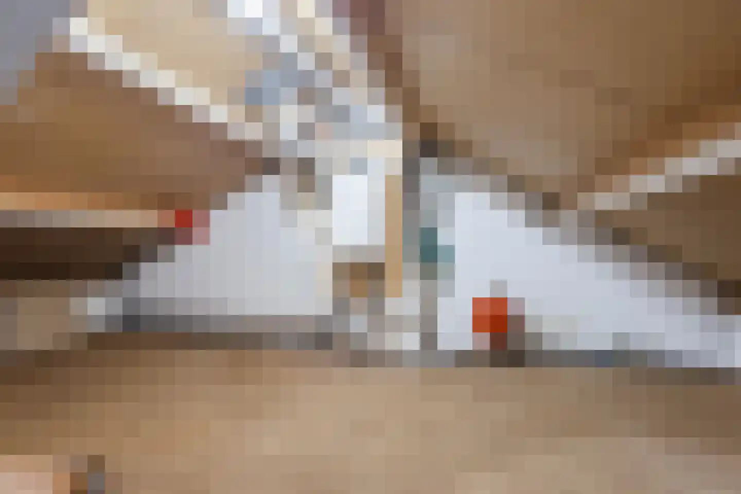 Borretstraat 9 Gemert thumbnail 35