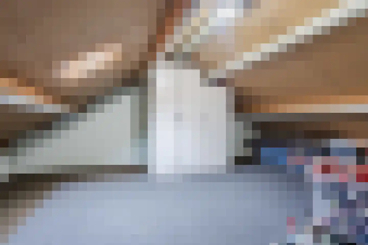 Borretstraat 9 Gemert thumbnail 37