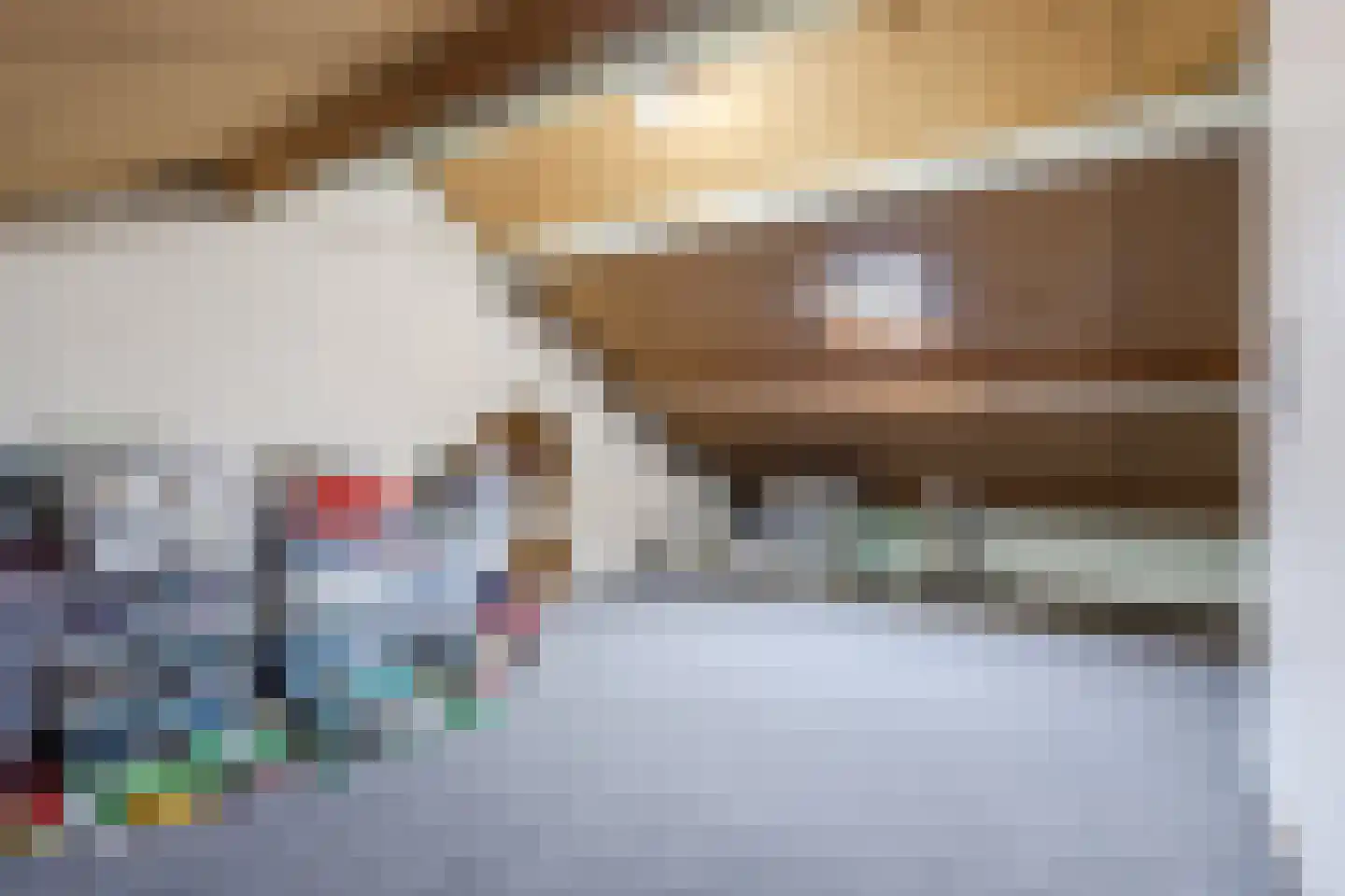 Borretstraat 9 Gemert thumbnail 38