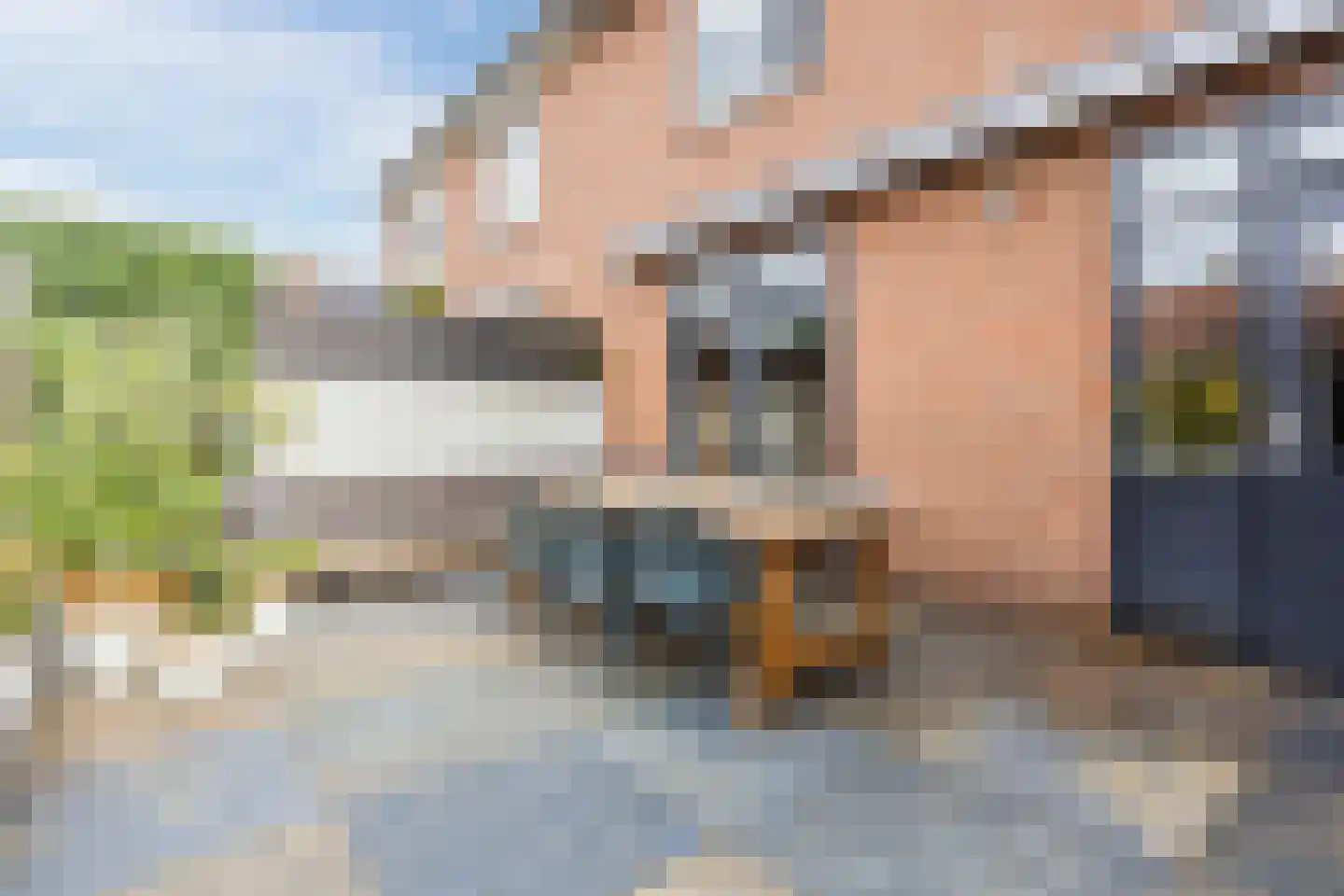 Borretstraat 9 Gemert thumbnail 41