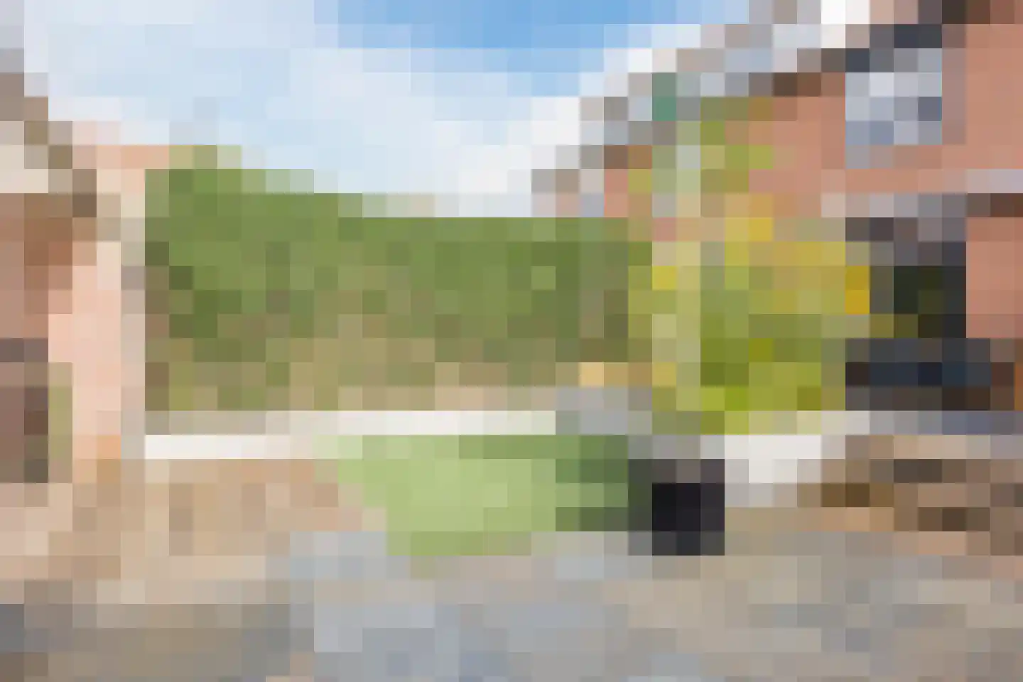 Borretstraat 9 Gemert thumbnail 44