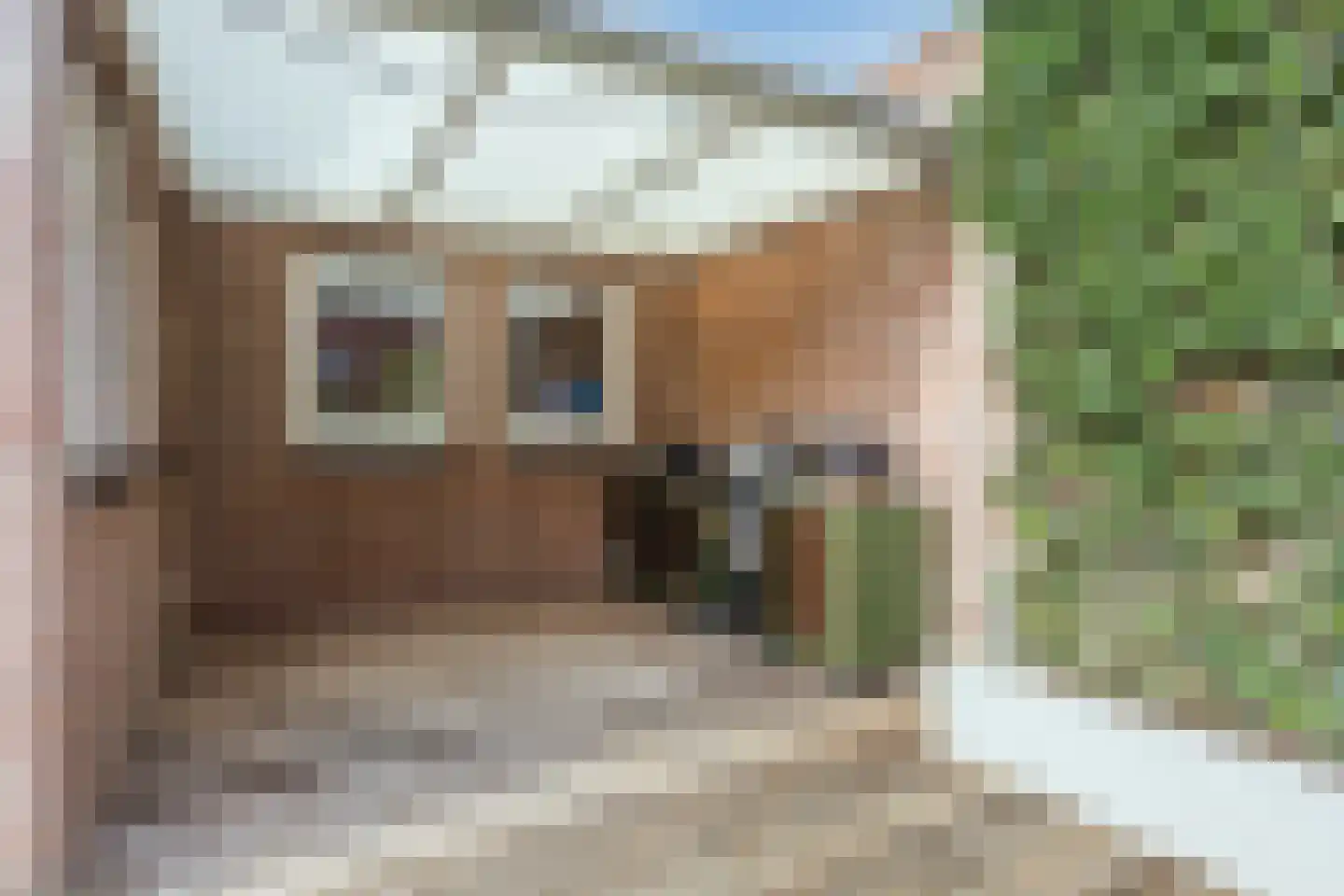 Borretstraat 9 Gemert thumbnail 46