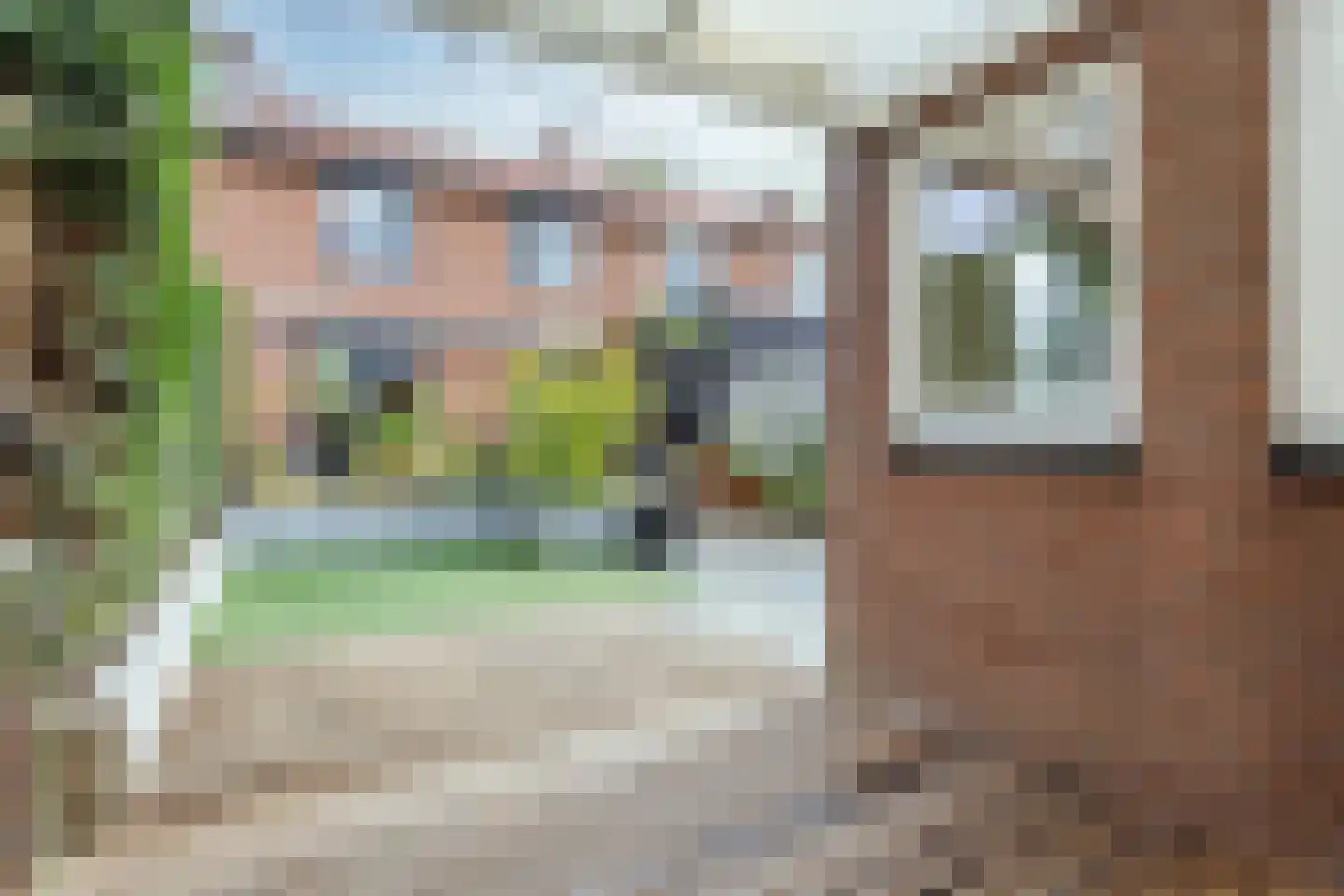 Borretstraat 9 Gemert thumbnail 47