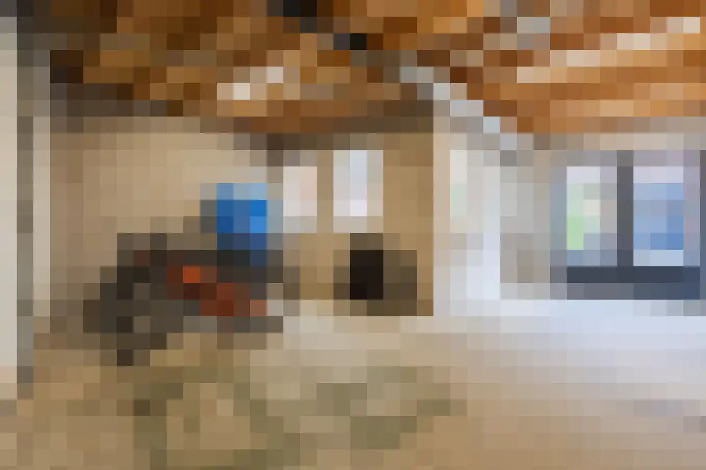 Borretstraat 9 Gemert thumbnail 52