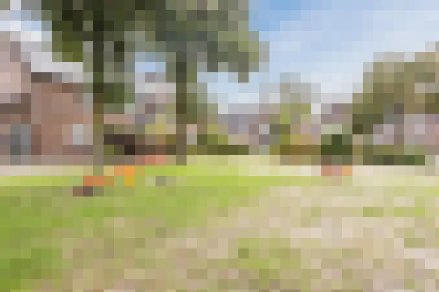 Borretstraat 9 Gemert thumbnail 57