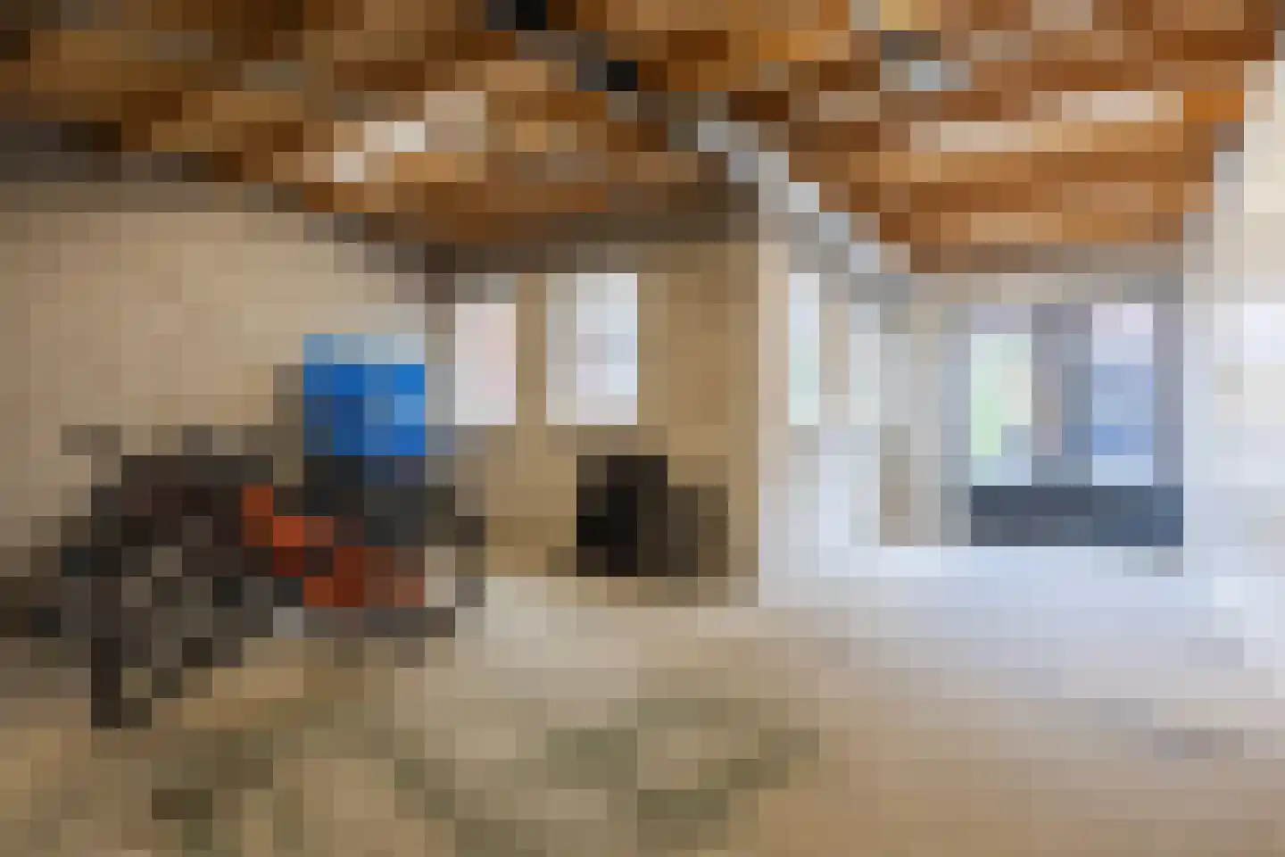 Borretstraat 9 Gemert thumbnail 6