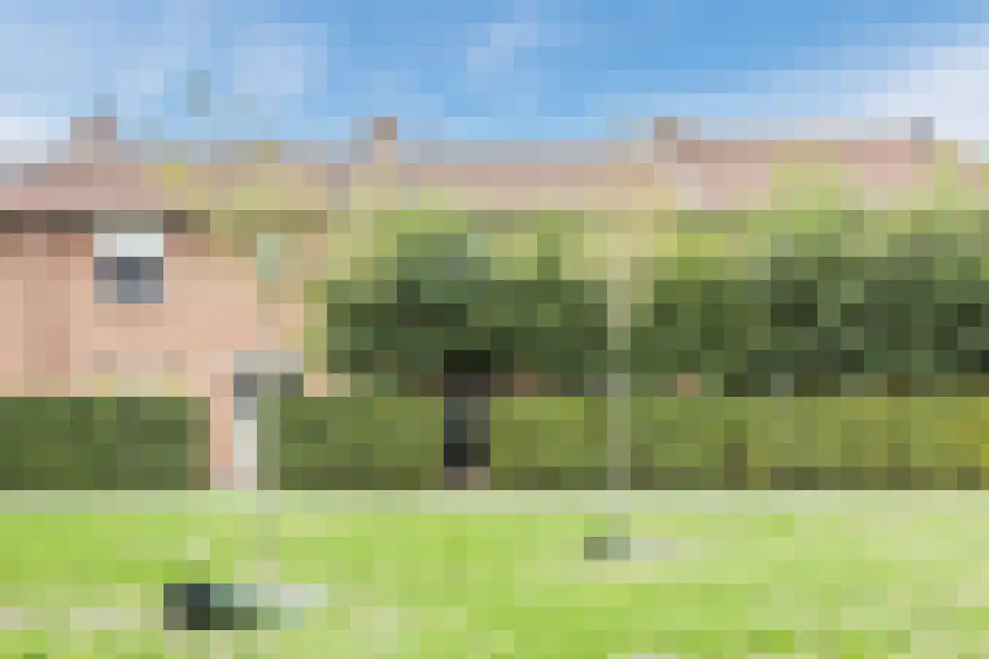Borretstraat 9 Gemert thumbnail 62
