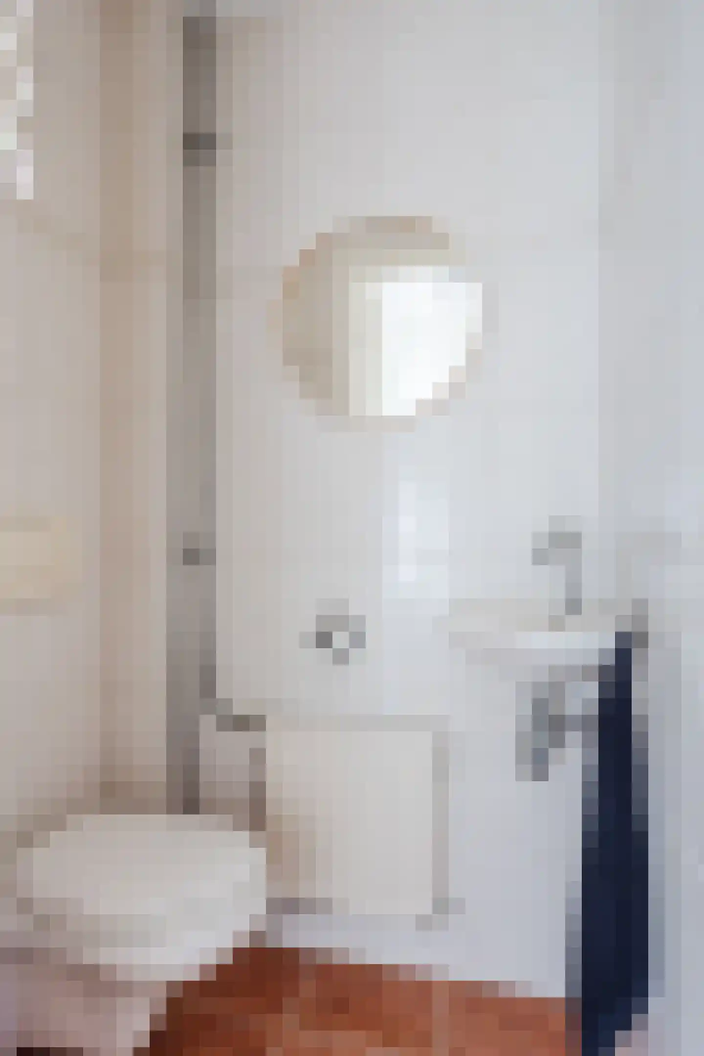 Borretstraat 9 Gemert thumbnail 8