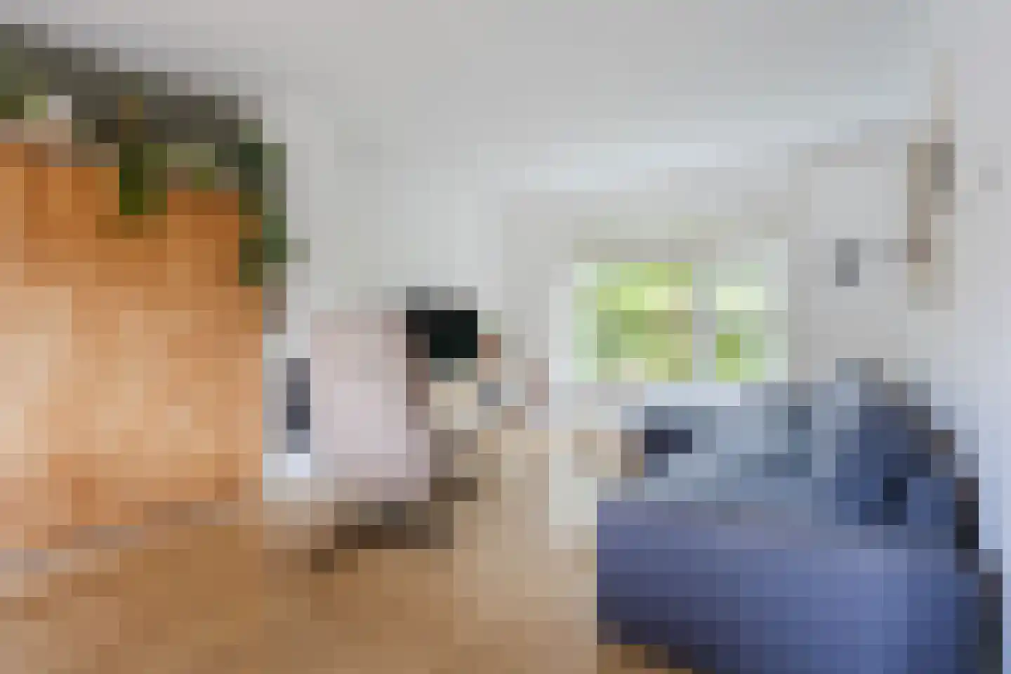 Borretstraat 9 Gemert thumbnail 9