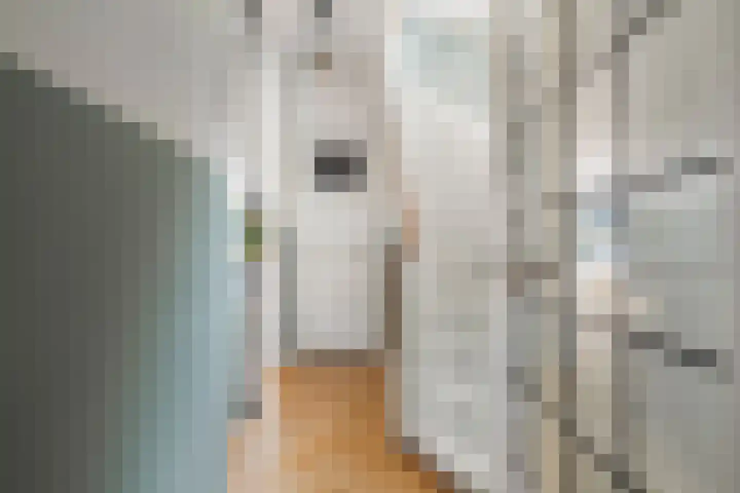 Bors van Waverenstraat 18 Amstelveen thumbnail 18