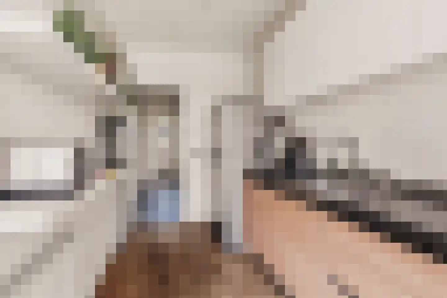 Bors van Waverenstraat 60 Amstelveen thumbnail 10