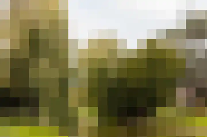 Bors van Waverenstraat 66 Amstelveen thumbnail 36