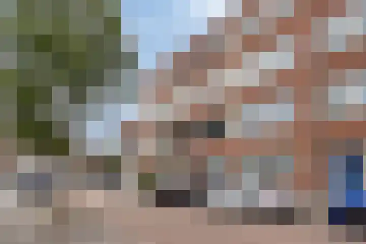 Borselaarstraat 47 B Rotterdam foto 2