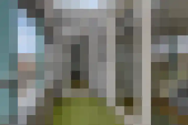 Borselaarstraat 47 B Rotterdam thumbnail 23