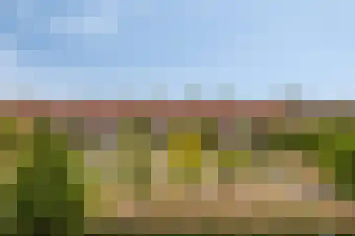 Borselaarstraat 47 B Rotterdam thumbnail 24