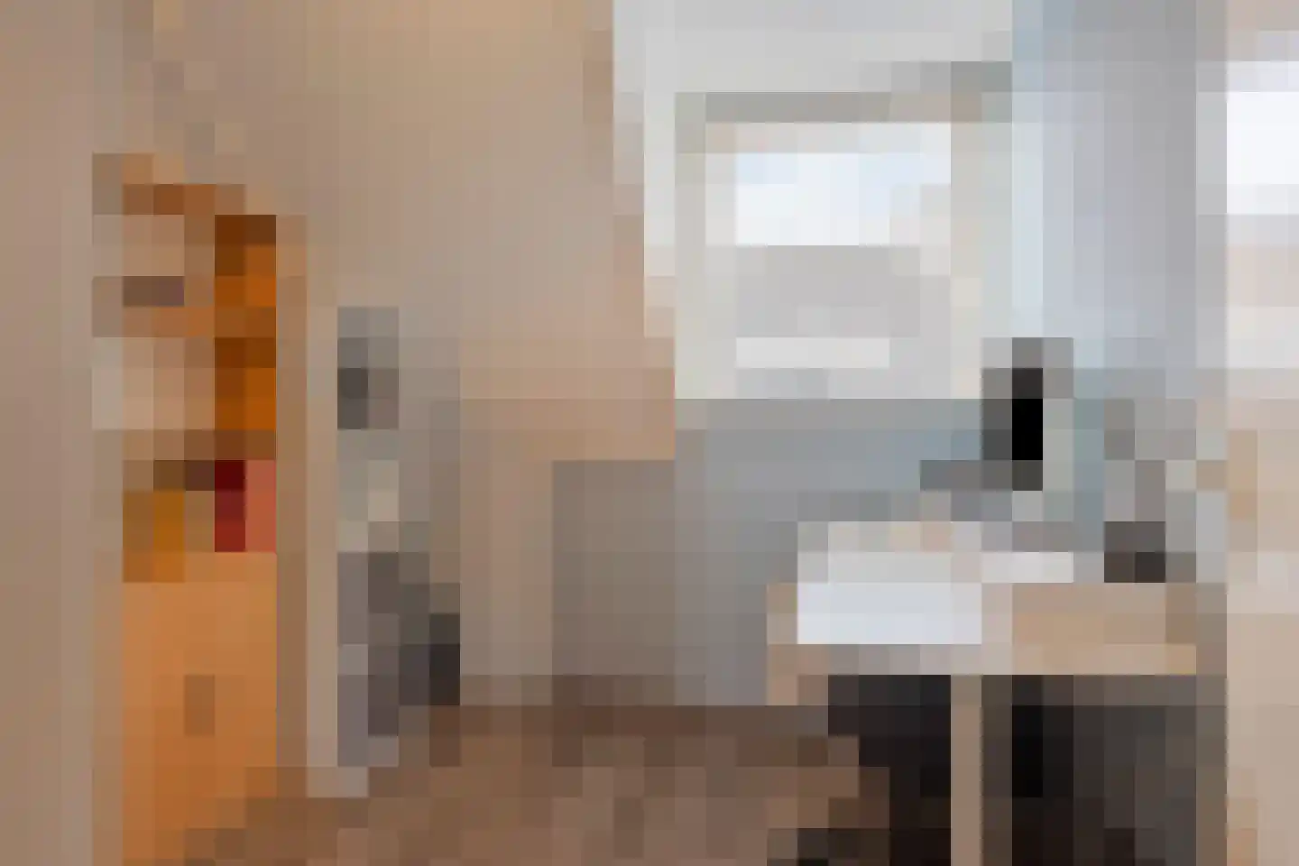 Borselestraat 27 Tilburg thumbnail 30
